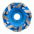 Platorello diamantato DGS-S 100/22,23 Bestseller Expert